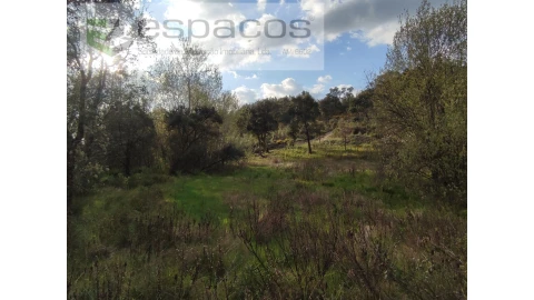 Terreno Agricola ou Rústico para Venda em Sarzedas