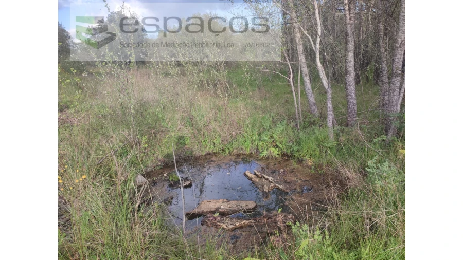 Terreno Agricola ou Rústico para Venda em Sarzedas Foto 7