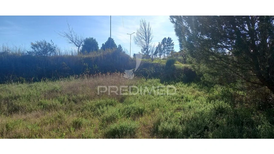 Terreno para Venda em Constancia Foto 3