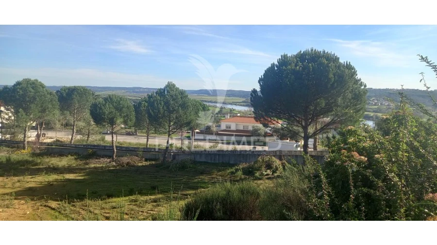 Terreno para Venda em Constancia