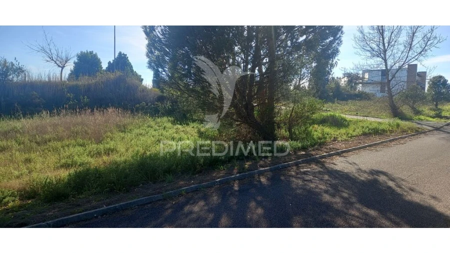 Terreno para Venda em Constancia Foto 4