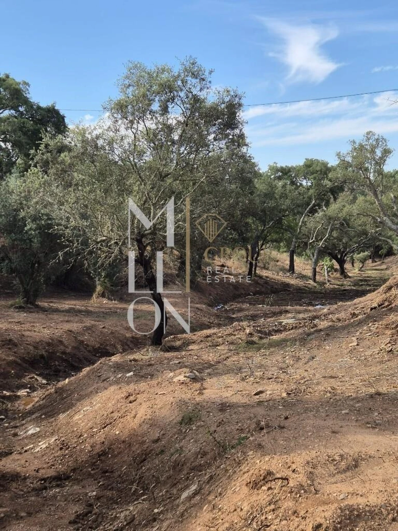 Moradia T1 para Venda em Terena (São Pedro) Foto 14