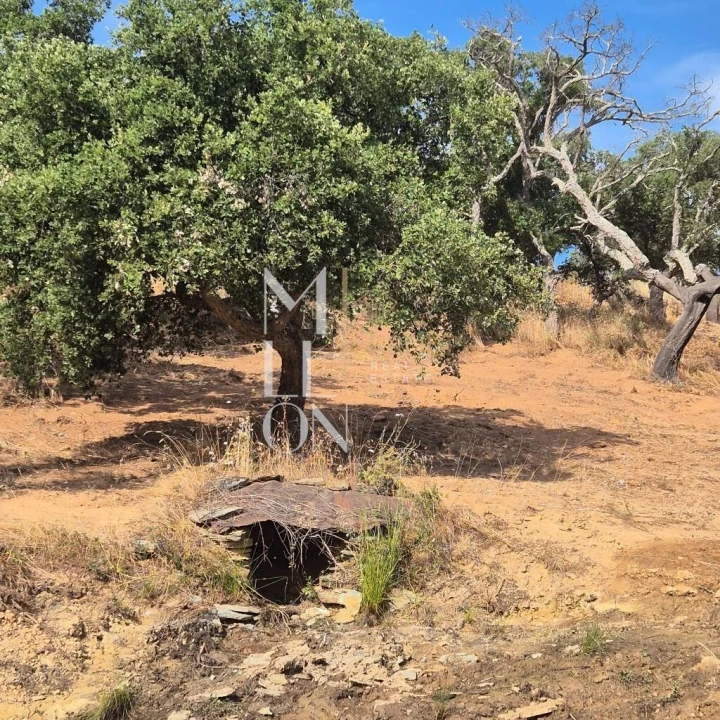 Moradia T1 para Venda em Terena (São Pedro) Foto 6