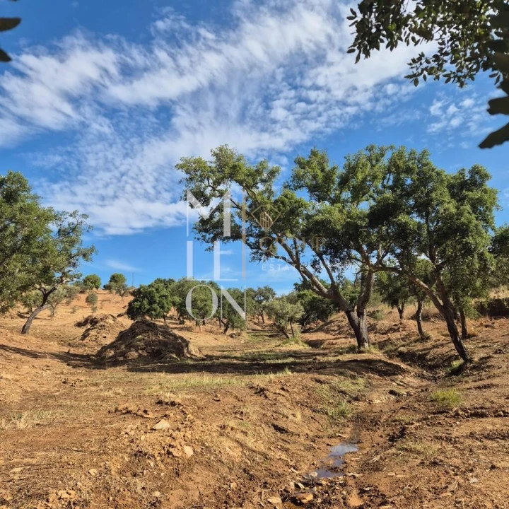 Moradia T1 para Venda em Terena (São Pedro) Foto 5