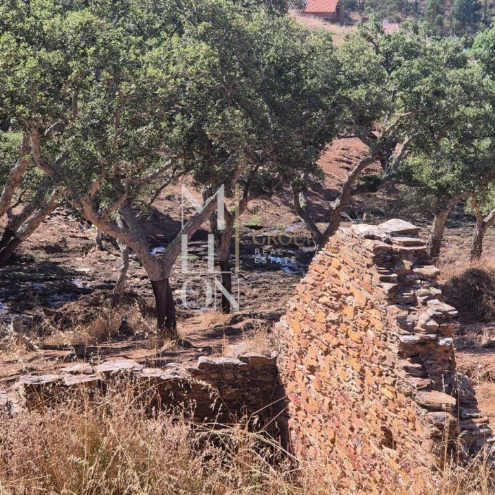 Moradia T1 para Venda em Terena (São Pedro) Foto 2