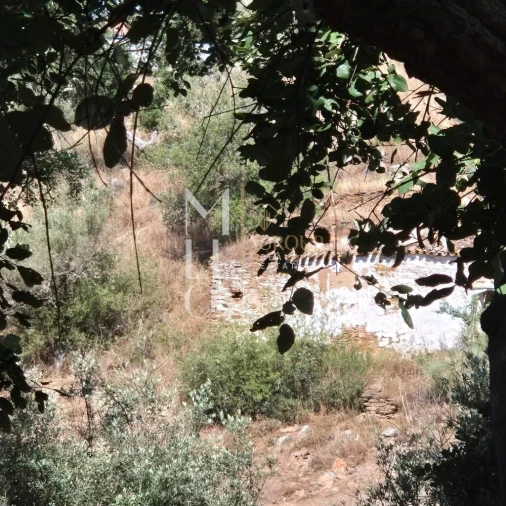 Moradia T1 para Venda em Terena (São Pedro) Foto 1