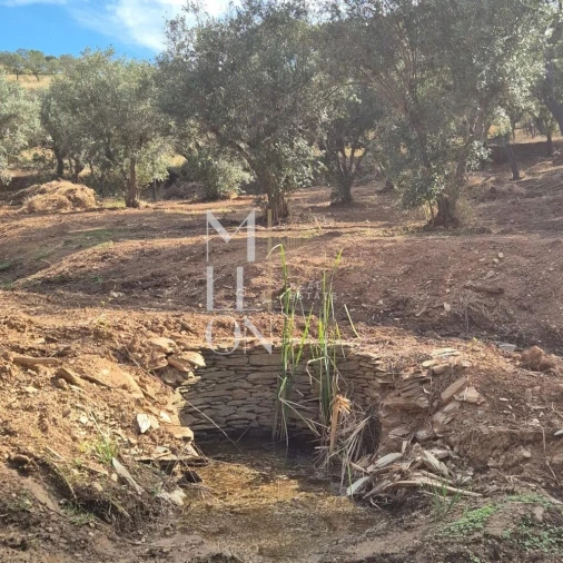 Moradia T1 para Venda em Terena (São Pedro) Foto 8