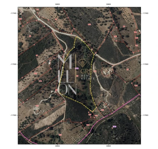 Moradia T1 para Venda em Terena (São Pedro) Foto 16