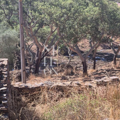 Moradia T1 para Venda em Terena (São Pedro) Foto 4