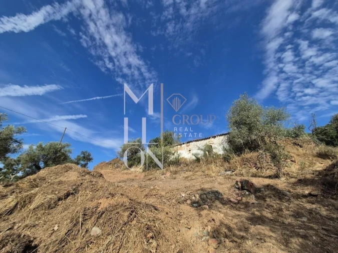 Moradia T1 para Venda em Terena (São Pedro) Foto 12