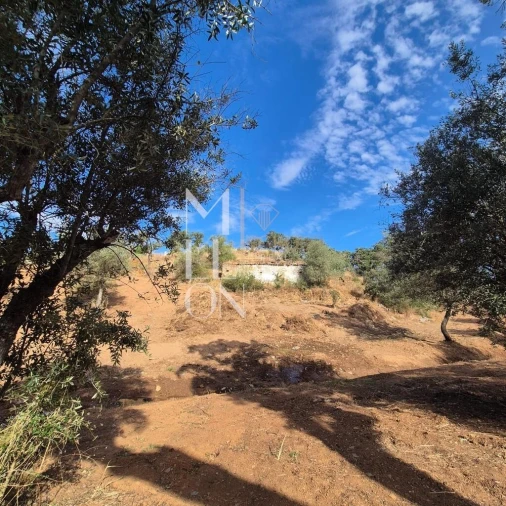 Moradia T1 para Venda em Terena (São Pedro) Foto 9