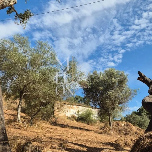 Moradia T1 para Venda em Terena (São Pedro) Foto 7