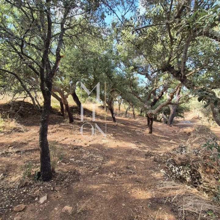 Moradia T1 para Venda em Terena (São Pedro) Foto 10