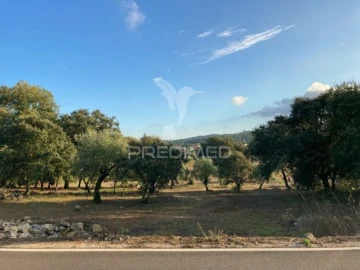 Terreno para Venda em Fatima