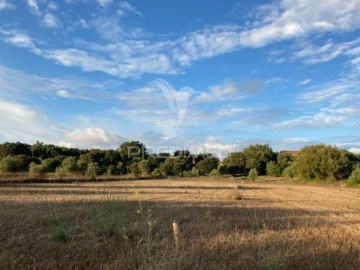 Terreno para Venda em Fatima