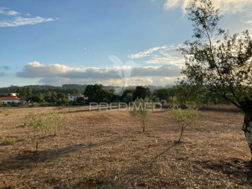 Terreno para Venda em Fatima Foto 2