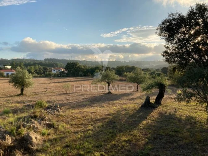Terreno para Venda em Fatima Foto 10