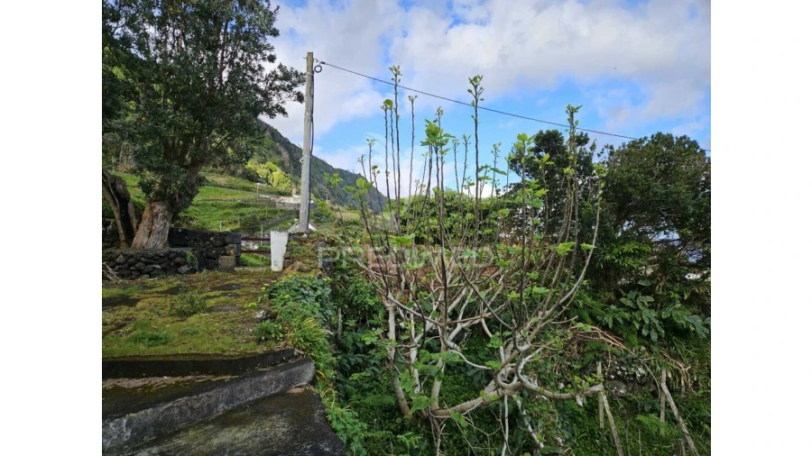 Moradia para Venda em Norte Grande (Neves) Foto 12