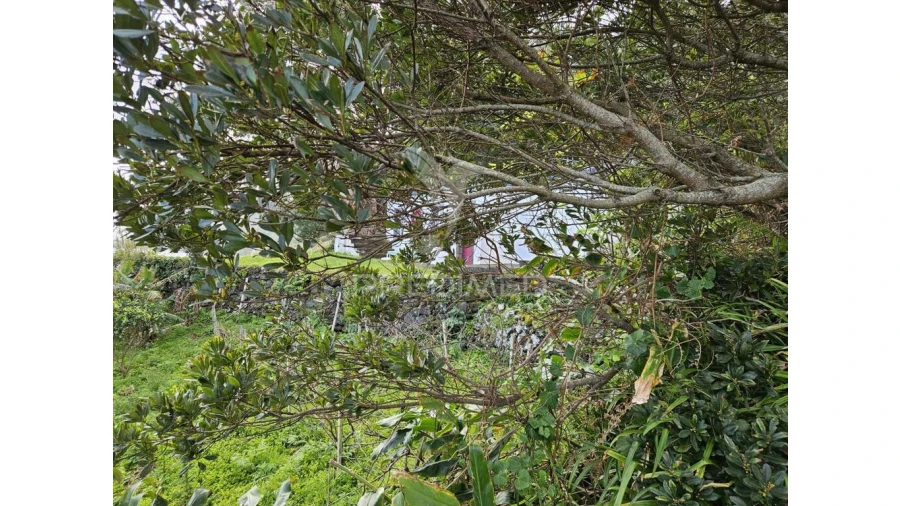 Moradia para Venda em Norte Grande (Neves) Foto 16