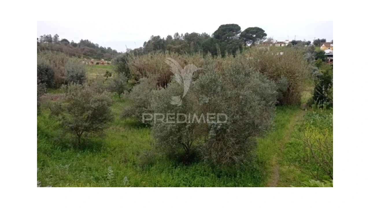 Moradia T2 para Venda em Bemposta Foto 20