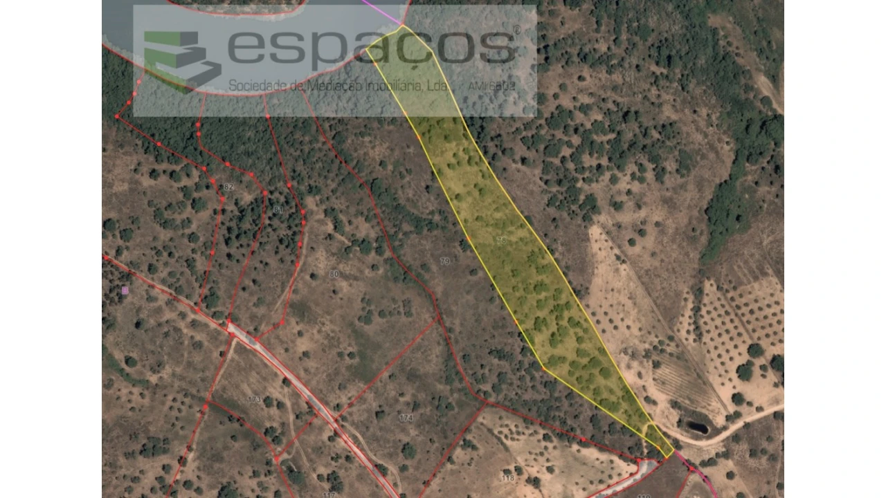 Terreno Agricola ou Rústico para Venda em Castelo Branco Foto 30