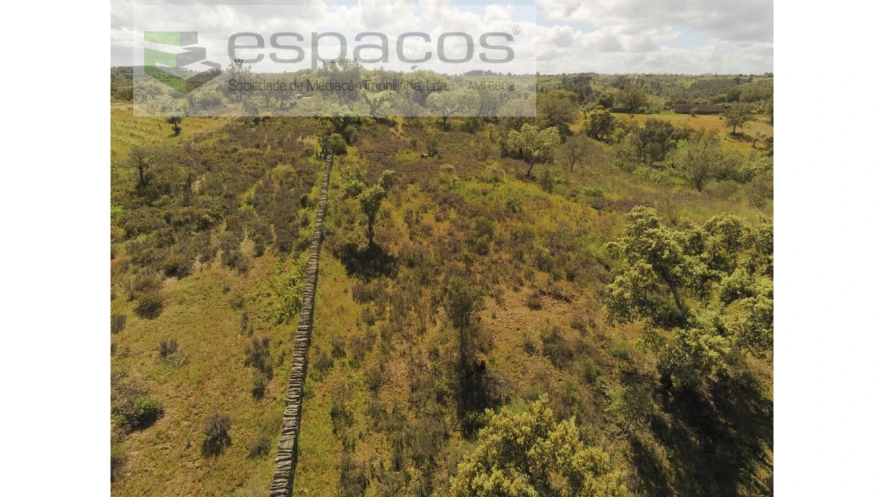 Terreno Agricola ou Rústico para Venda em Castelo Branco Foto 6