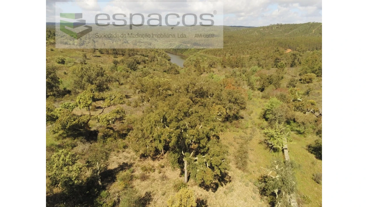 Terreno Agricola ou Rústico para Venda em Castelo Branco Foto 4