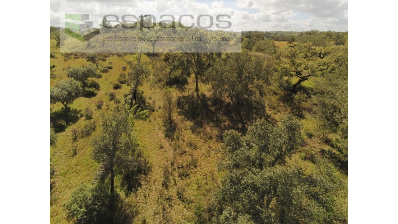 Terreno Agricola ou Rústico para Venda em Castelo Branco Foto 9