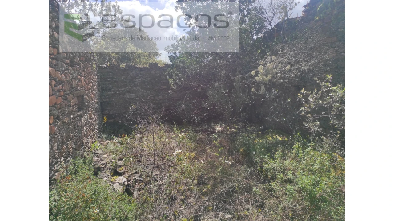 Terreno Agricola ou Rústico para Venda em Castelo Branco Foto 10