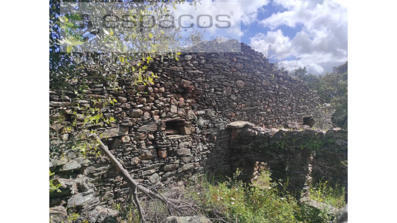 Terreno Agricola ou Rústico para Venda em Castelo Branco Foto 11