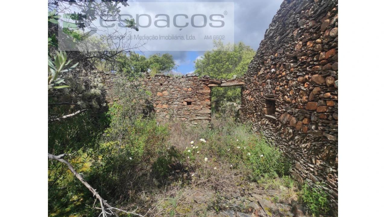 Terreno Agricola ou Rústico para Venda em Castelo Branco Foto 14