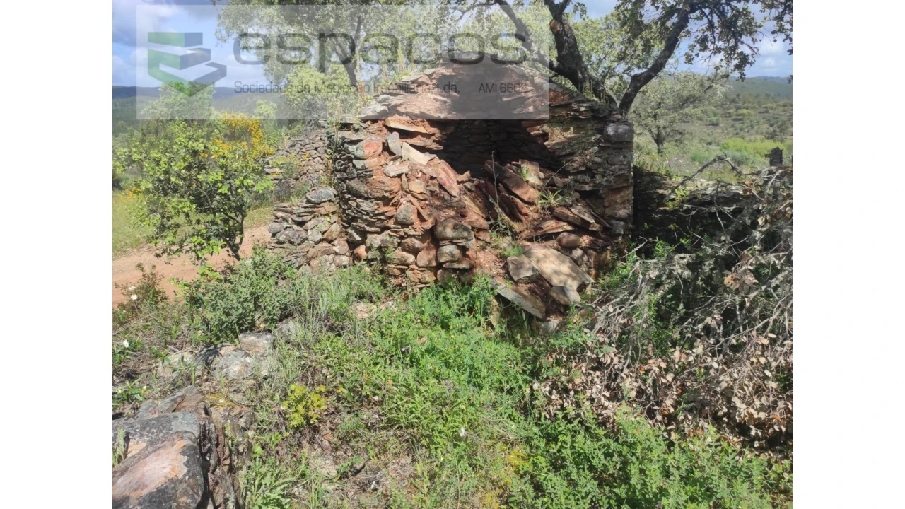 Terreno Agricola ou Rústico para Venda em Castelo Branco Foto 16