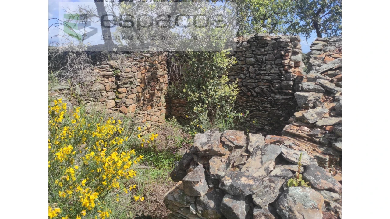 Terreno Agricola ou Rústico para Venda em Castelo Branco Foto 21