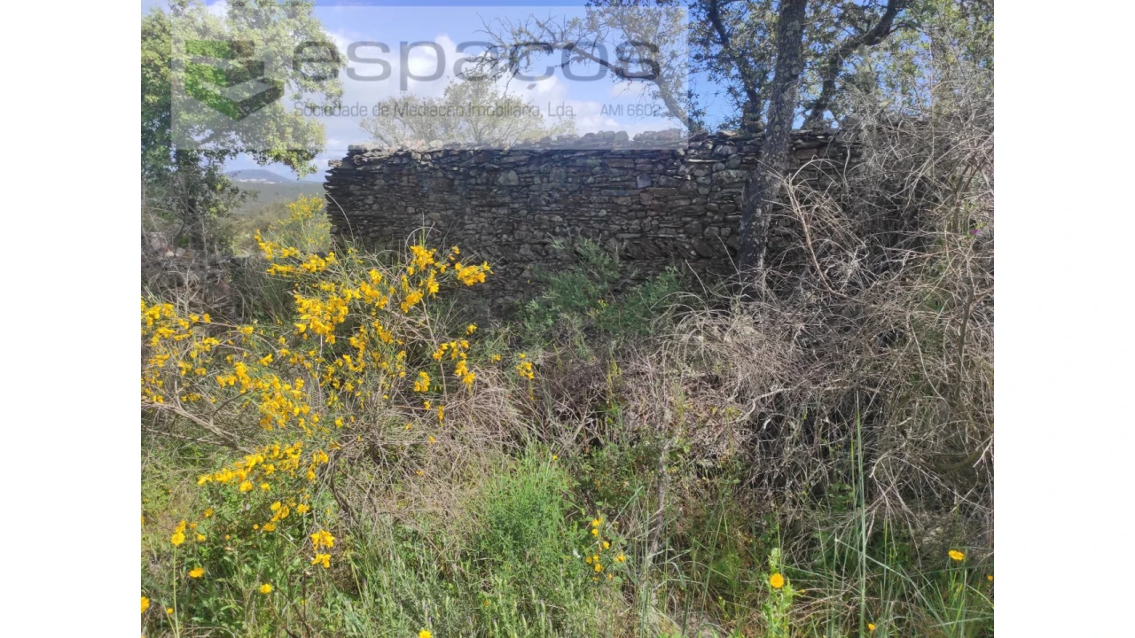 Terreno Agricola ou Rústico para Venda em Castelo Branco Foto 22