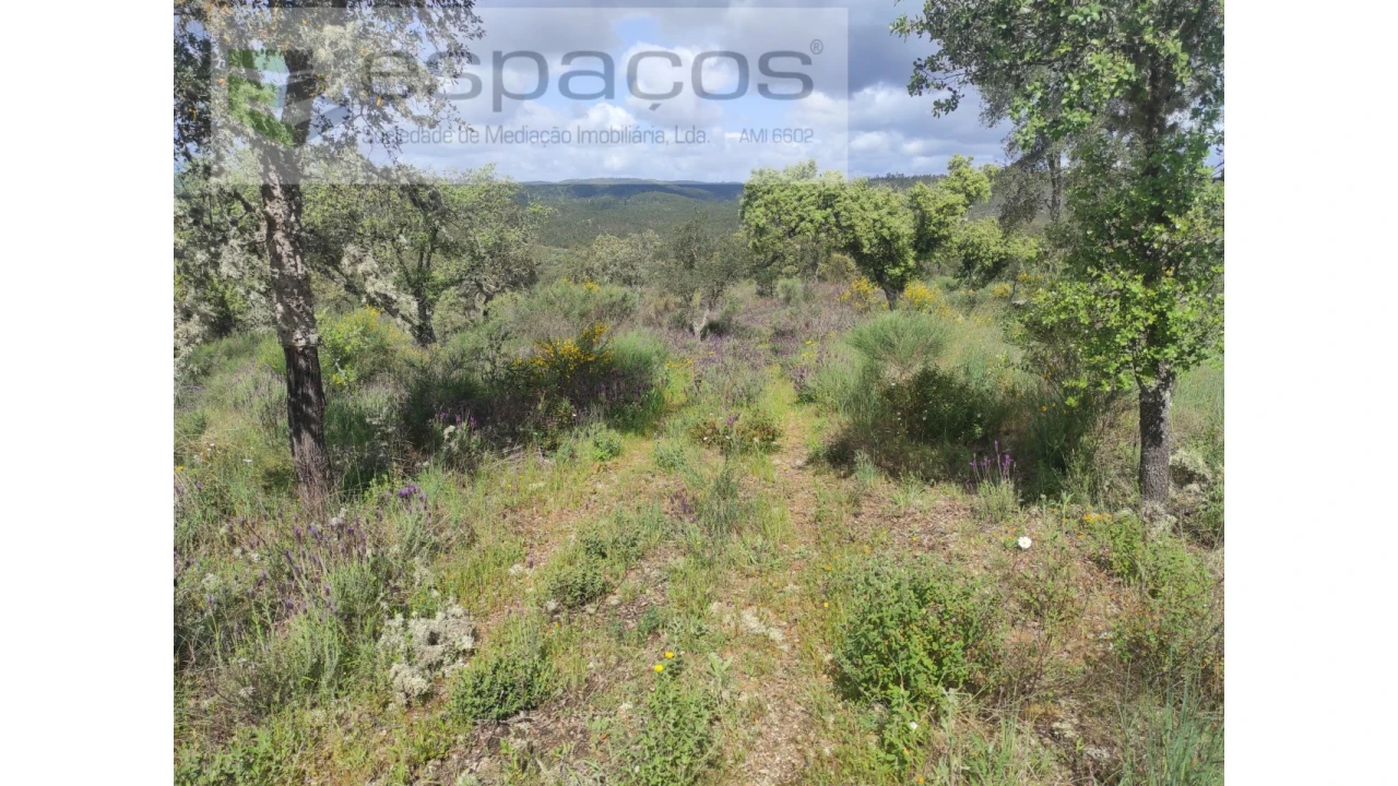 Terreno Agricola ou Rústico para Venda em Castelo Branco Foto 23