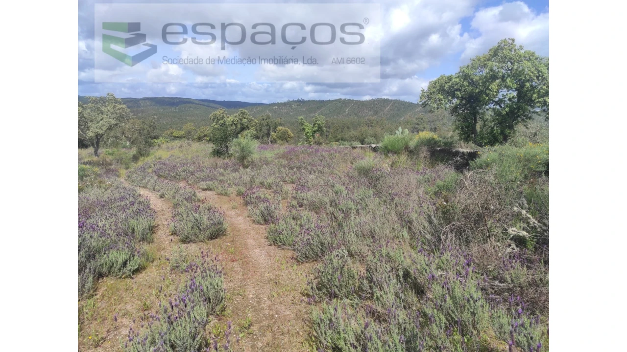 Terreno Agricola ou Rústico para Venda em Castelo Branco Foto 24