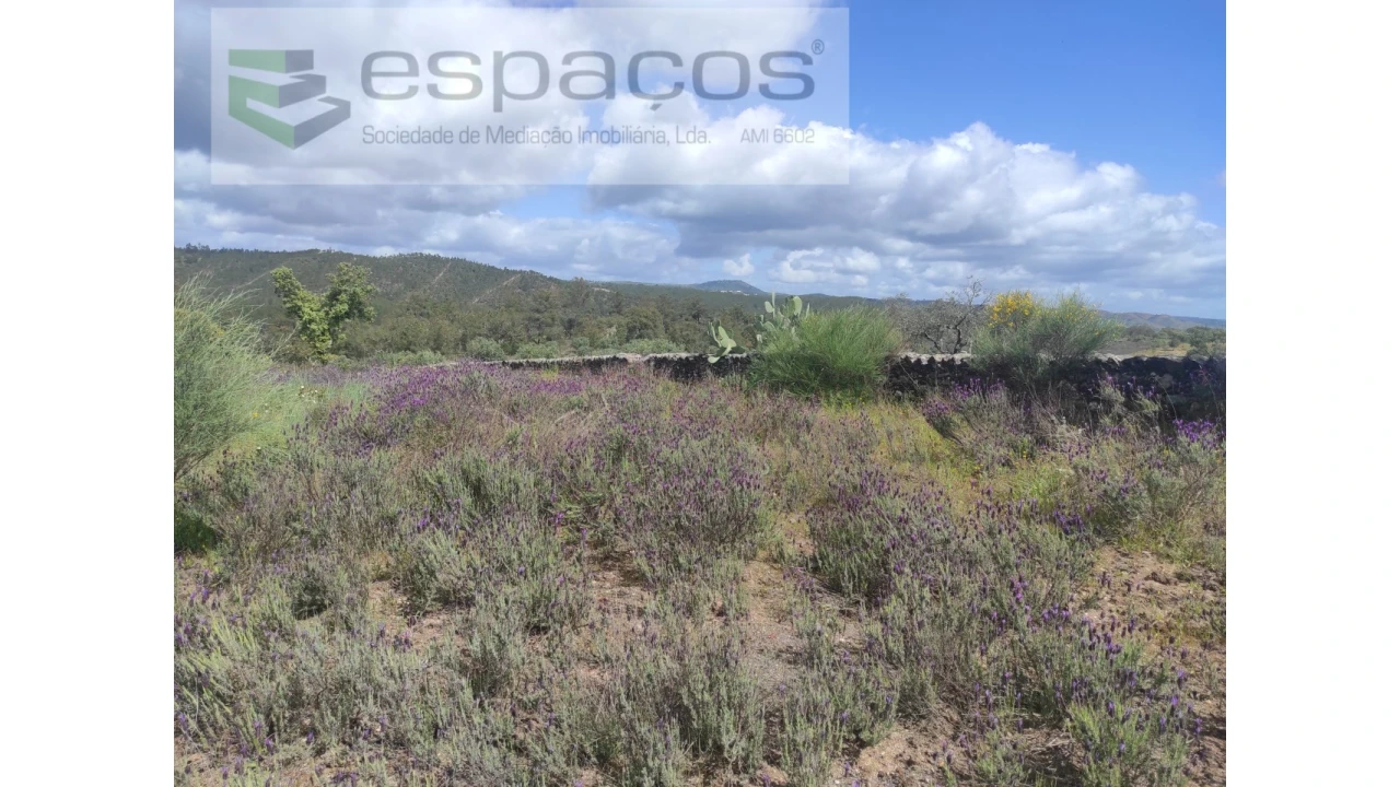 Terreno Agricola ou Rústico para Venda em Castelo Branco Foto 26