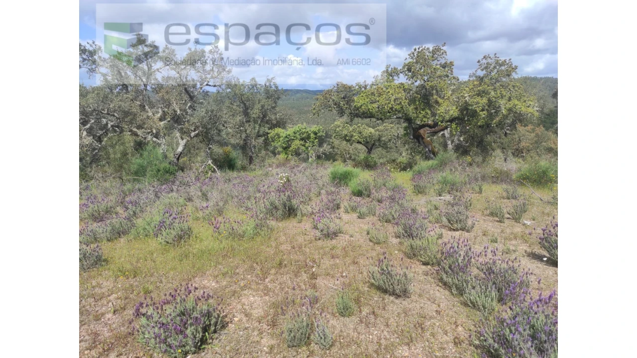 Terreno Agricola ou Rústico para Venda em Castelo Branco Foto 27