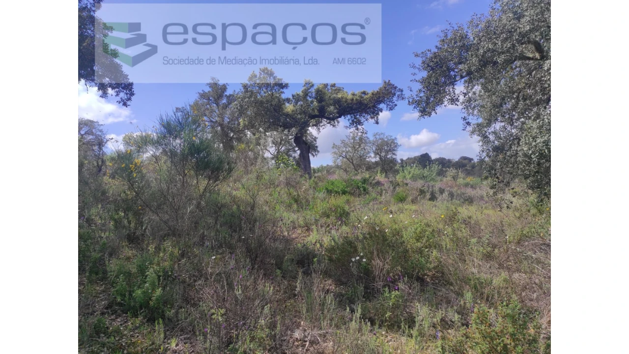 Terreno Agricola ou Rústico para Venda em Castelo Branco Foto 29