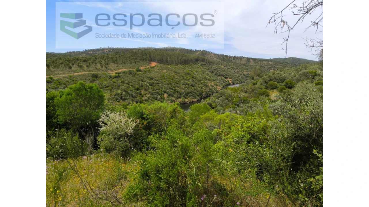 Terreno Agricola ou Rústico para Venda em Castelo Branco Foto 5