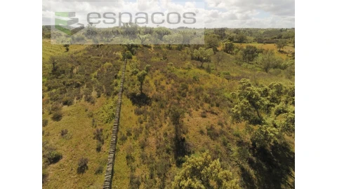 Terreno Agricola ou Rústico para Venda em Castelo Branco