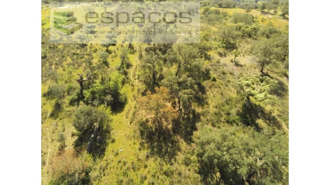 Terreno Agricola ou Rústico para Venda em Castelo Branco