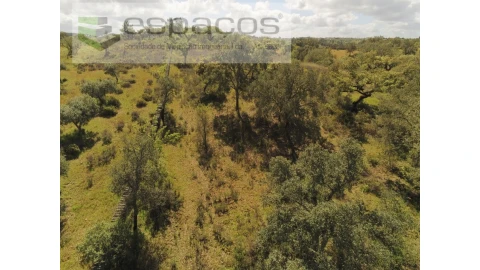 Terreno Agricola ou Rústico para Venda em Castelo Branco
