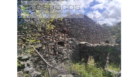 Terreno Agricola ou Rústico para Venda em Castelo Branco