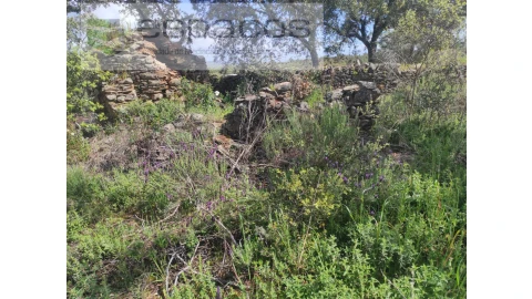 Terreno Agricola ou Rústico para Venda em Castelo Branco