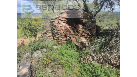 Terreno Agricola ou Rústico para Venda em Castelo Branco