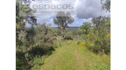 Terreno Agricola ou Rústico para Venda em Castelo Branco