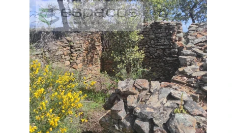 Terreno Agricola ou Rústico para Venda em Castelo Branco