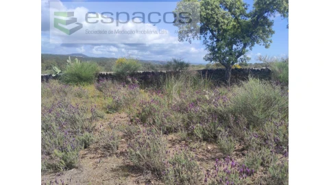 Terreno Agricola ou Rústico para Venda em Castelo Branco