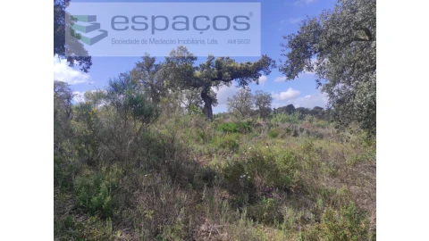 Terreno Agricola ou Rústico para Venda em Castelo Branco